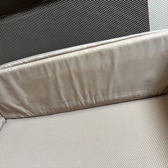 ココネルエアー【お話中
】の画像
