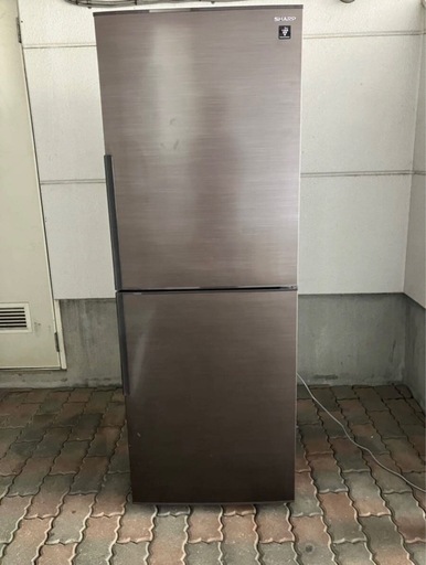 冷蔵庫(綺麗)