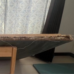 【無料】ジョイントマット16枚　置き畳2枚の画像