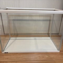 GEX水槽（40cm）