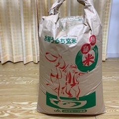 徳島県の古米の中古が安い!激安で譲ります・無料であげます 徳島県の古米の中古が安い!激安で譲ります・無料であげます
