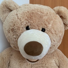 クマのぬいぐるみの画像