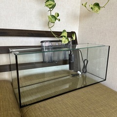 未使用　GEX ジェックス　水槽　セットの画像