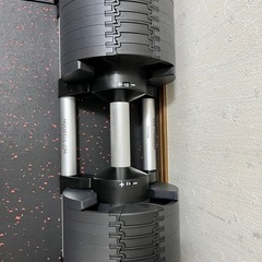 可変式ダンベル　フレックスベル36キロ2個セットの画像
