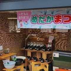 めだか屋Berry　めだかまつり開催中　9月28日、29日