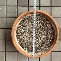 4点セット 植木鉢 ＆ 土 ガーデニングの画像