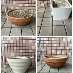 4点セット 植木鉢 ＆ 土 ガーデニング