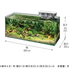 未使用　GEX ジェックス　水槽　セットの画像