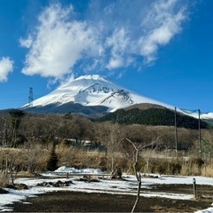 美味しいもの目指し走りましょ