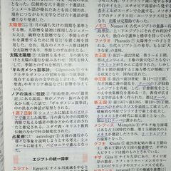 日本史参考書　新チャート式シリーズ 新日本史 の画像