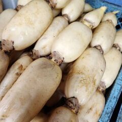10/5 農産物直売