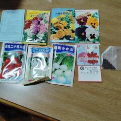 種　いろいろ　全部で7種類　  