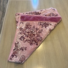 西川の毛布(シングルサイズ)