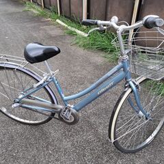 アルベルト自転車の画像