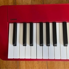 CASIO PRIVIA PX-s1000の画像