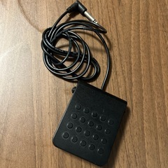CASIO PRIVIA PX-s1000の画像