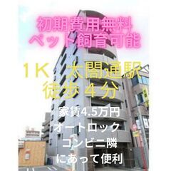 🌟【ペット飼育可能で初期費用無料！！】名古屋駅も徒歩圏内でオート...