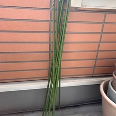 【中古　支柱差し上げます】