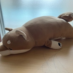 【お取引中】犬のぬいぐるみ