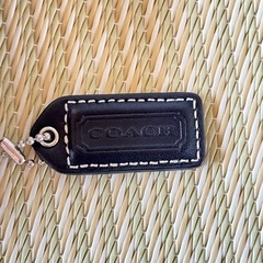 coachバッグの画像