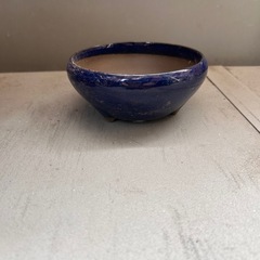 【未使用　小さめの鉢を差し上げます】