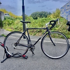 希少MIZUNO ミズノ RAFFICA ラフィカ サイズ500mm