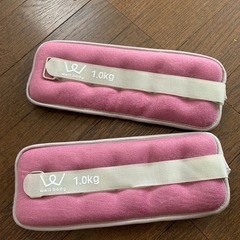 アンクルウェイト1キロ✖️2個