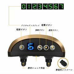 新品未使用　 犬　無駄吠え防止・散歩時光るので分かりやすいの画像