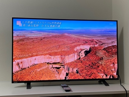 その他 REGZA 43C350X