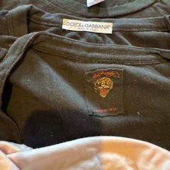 レディース　Tシャツの画像