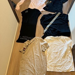 レディース　Tシャツの画像