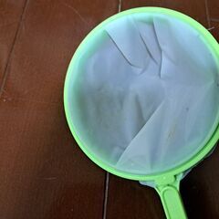 メダカの生餌 ゾウリムシ分離､採取の画像