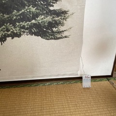 クリスマス飾り　電池入れると光りますの画像