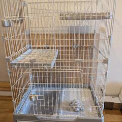 キャットゲージの画像