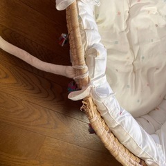 【最終値下げ】BOBOのクーファンの画像