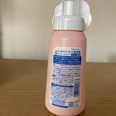 相談中わんちゃん、ネコチャンの画像