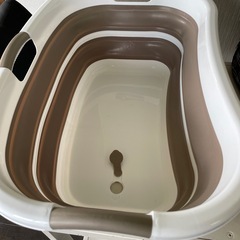 相談中　ネコちゃん、わんちゃんお風呂再募集!