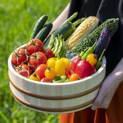 家庭菜園サークル（無料）