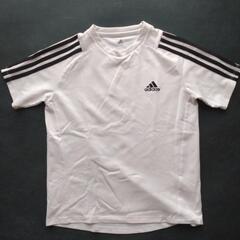 【決定いたしました】キッズ用の半袖シャツ　150cmの画像