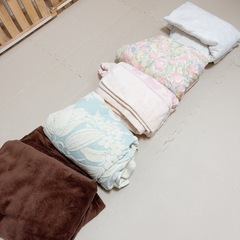 掛ふとん セット 毛布 タオルケット シングル 5枚 花柄 ペットにも