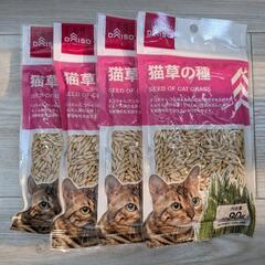 猫草の種　ダイソー　エン麦　15袋あります