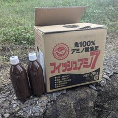 アミノフィッシュ7