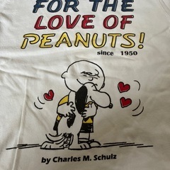 スヌーピサイズ110の画像