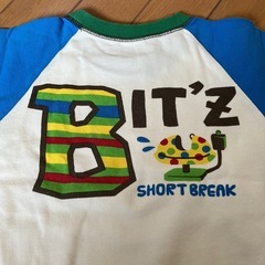 サイズ110の画像