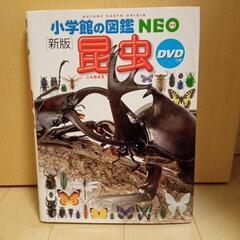 小学館の図鑑NEO新版　昆虫　こんちゅう