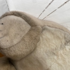 うめ吉　特大　お譲りしますの画像