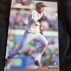 千葉ロッテマリーンズ【和田康士朗】の野球カードの画像