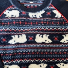 フリース110の画像