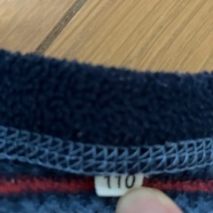 フリース110の画像