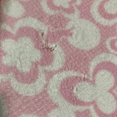 犬、猫用　テキオンヒーターの画像